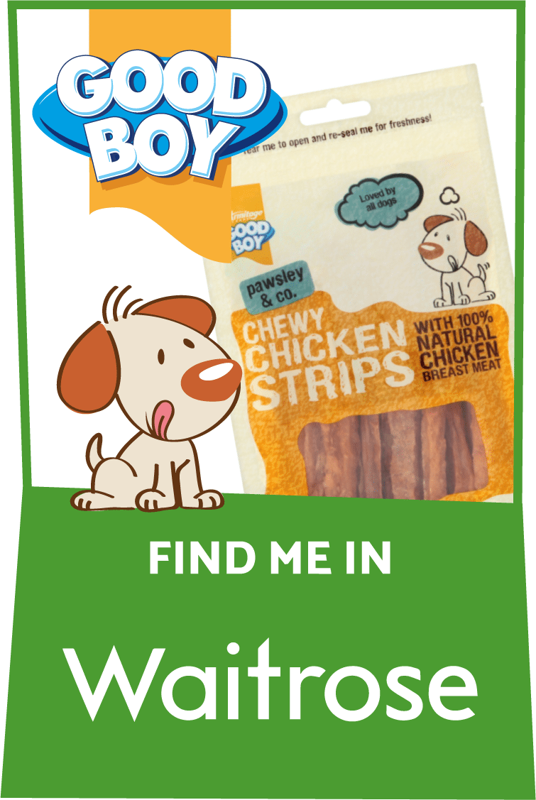 Good Boy Dog Treats & Toys Your Furry Pal Will Love