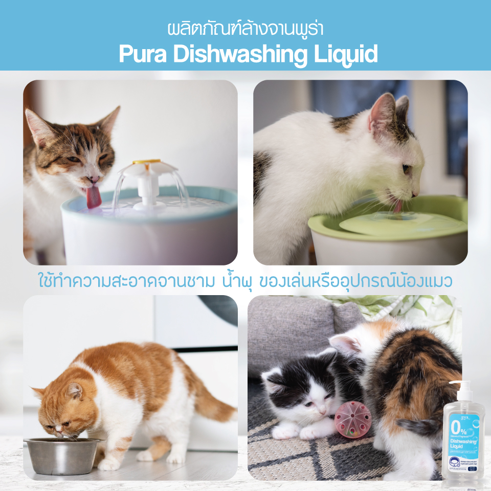น้ำยาล้างจานสำหรับสัตว์เลี้ยง ไม่ใส่สีหรือกลิ่นที่ทำให้เกิดการระคายเคือง
