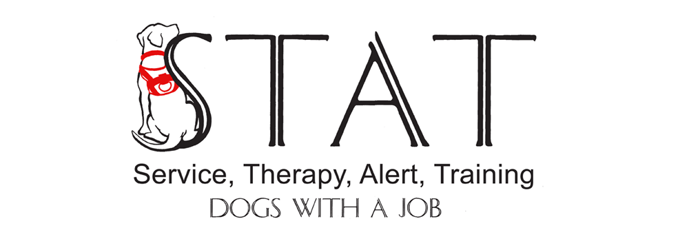 Our Team Good Dog Paws