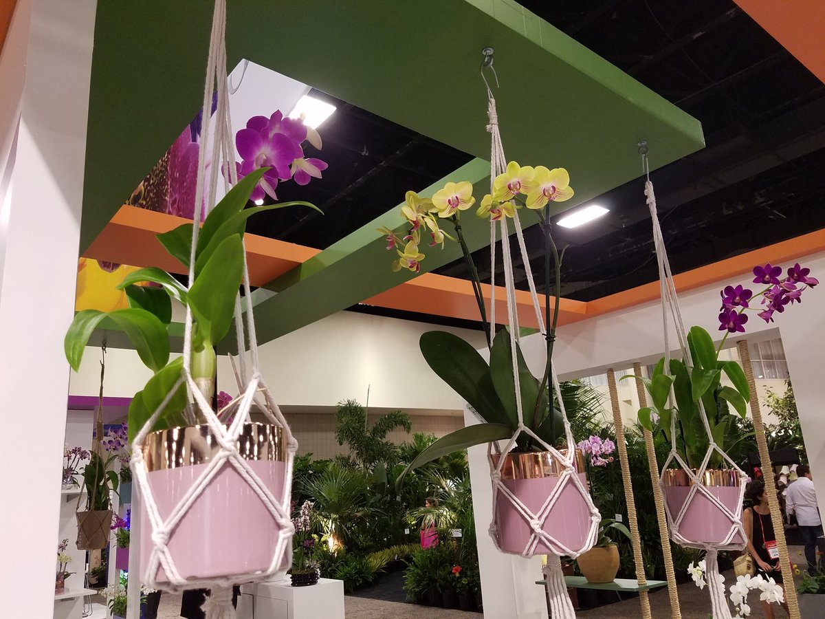 Flashbacks in Florida at the Tropical Plant Industry Expo Good Earth