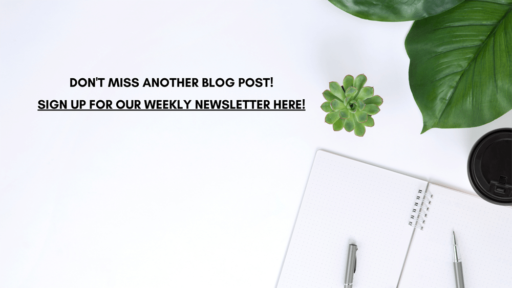 Top 20 Why Do My Plants Die When I Repot Them