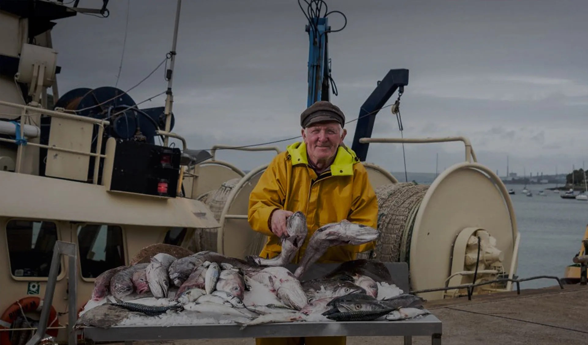 The Good Fish Company Freshest Irish Fish and Seafood