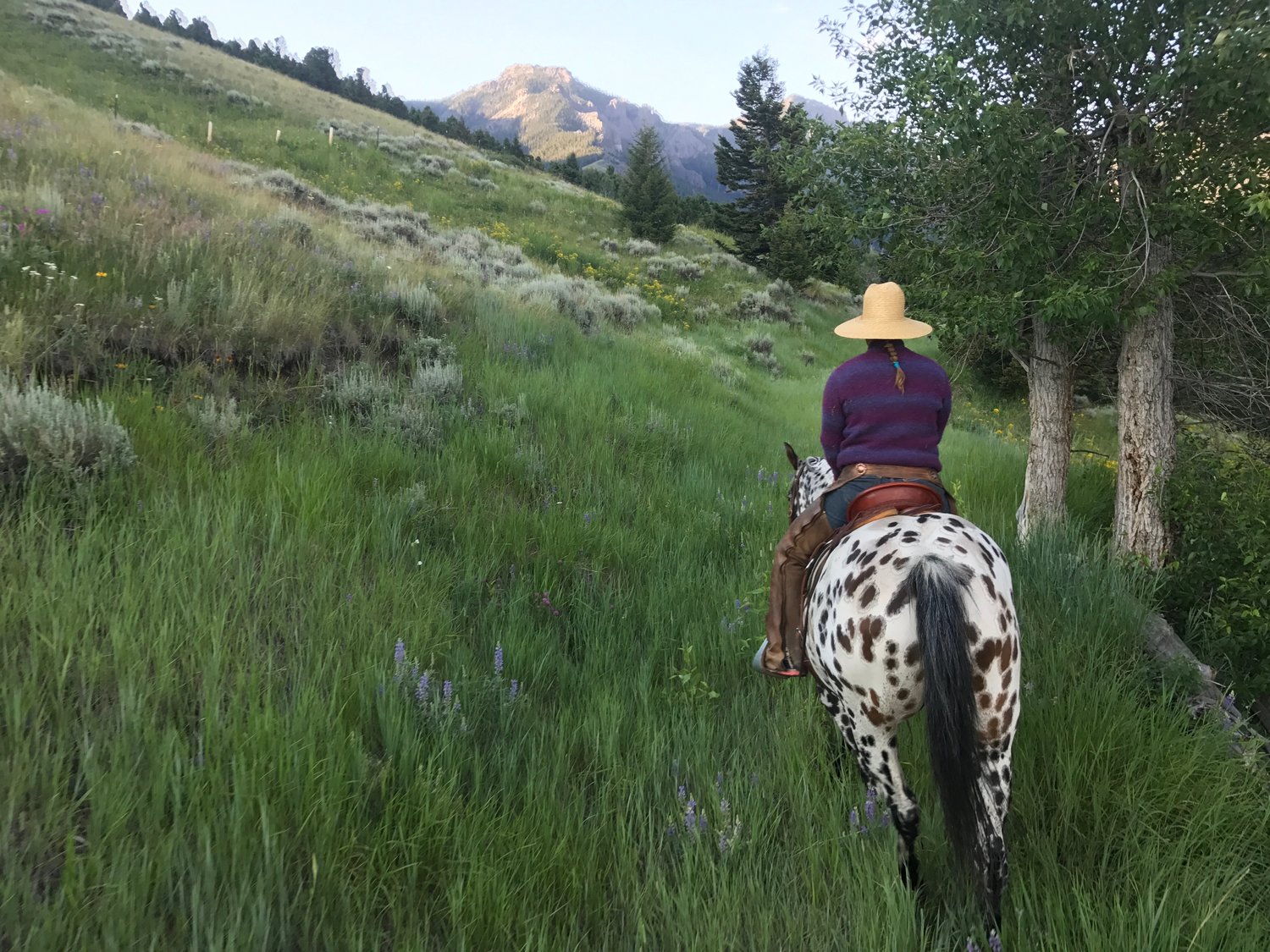 Montana’s NEW Range Riders GoodFood World