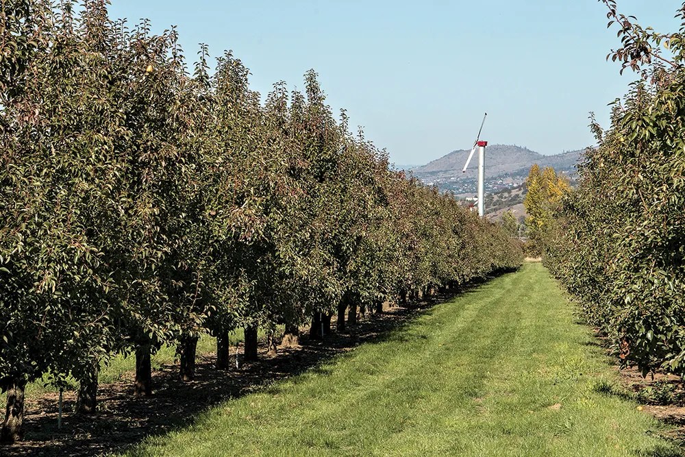 Uncertain future for Meyer Orchards Good Fruit Grower