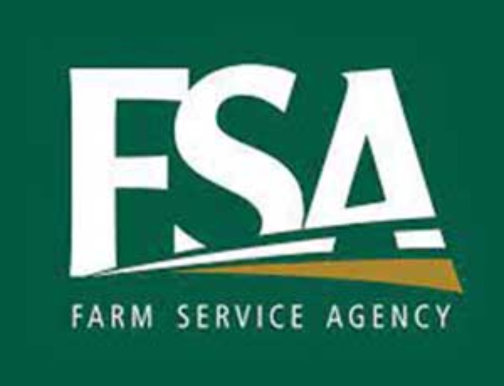 Peaches in Florida Good Fruit Grower