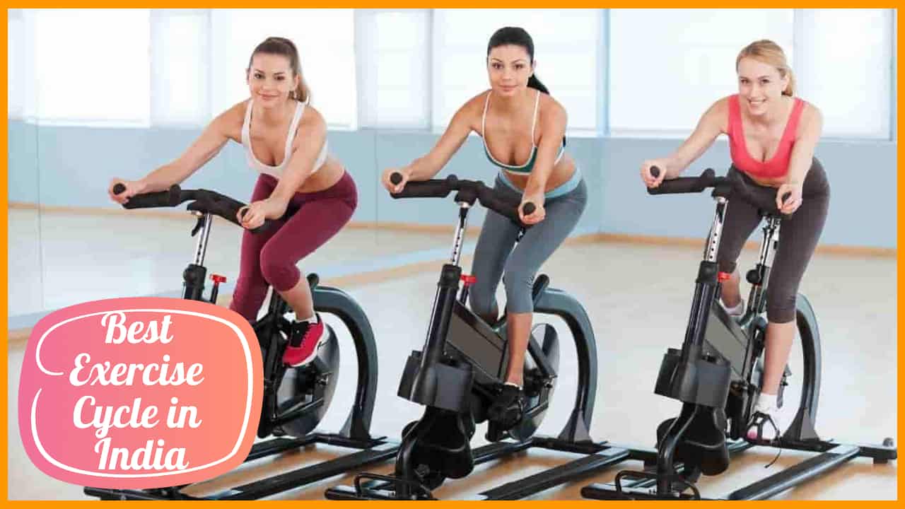 12 Best Exercise Cycle in India Reviews Good Home Services