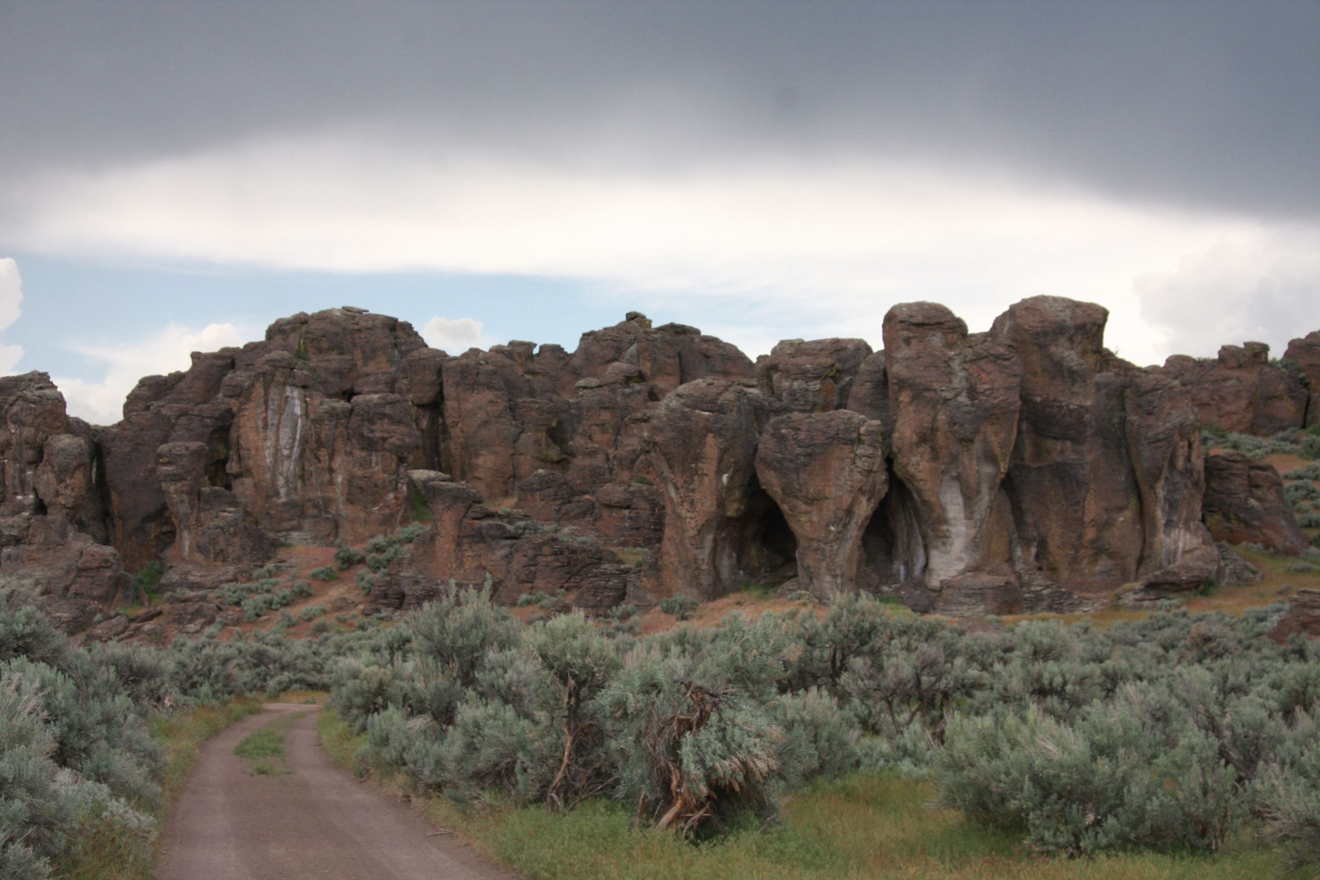 Photo Gallery • IMG_0556