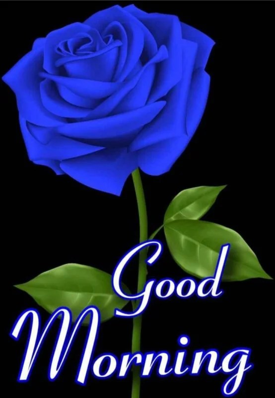 Good Morning Blue Rose Images & GIFs