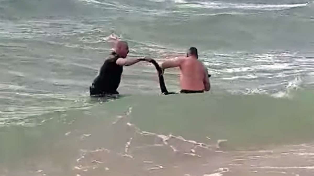 Watch Two Australian Police Officers Rescue Drowning Kangaroo Because