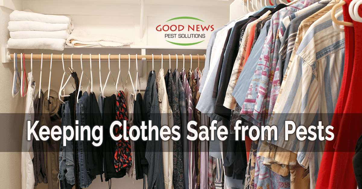 Keeping Clothes Safe from Pests Pest Control in Venice, FL Good