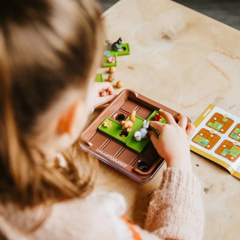 Squirrels Go Nuts! The Good Play Guide