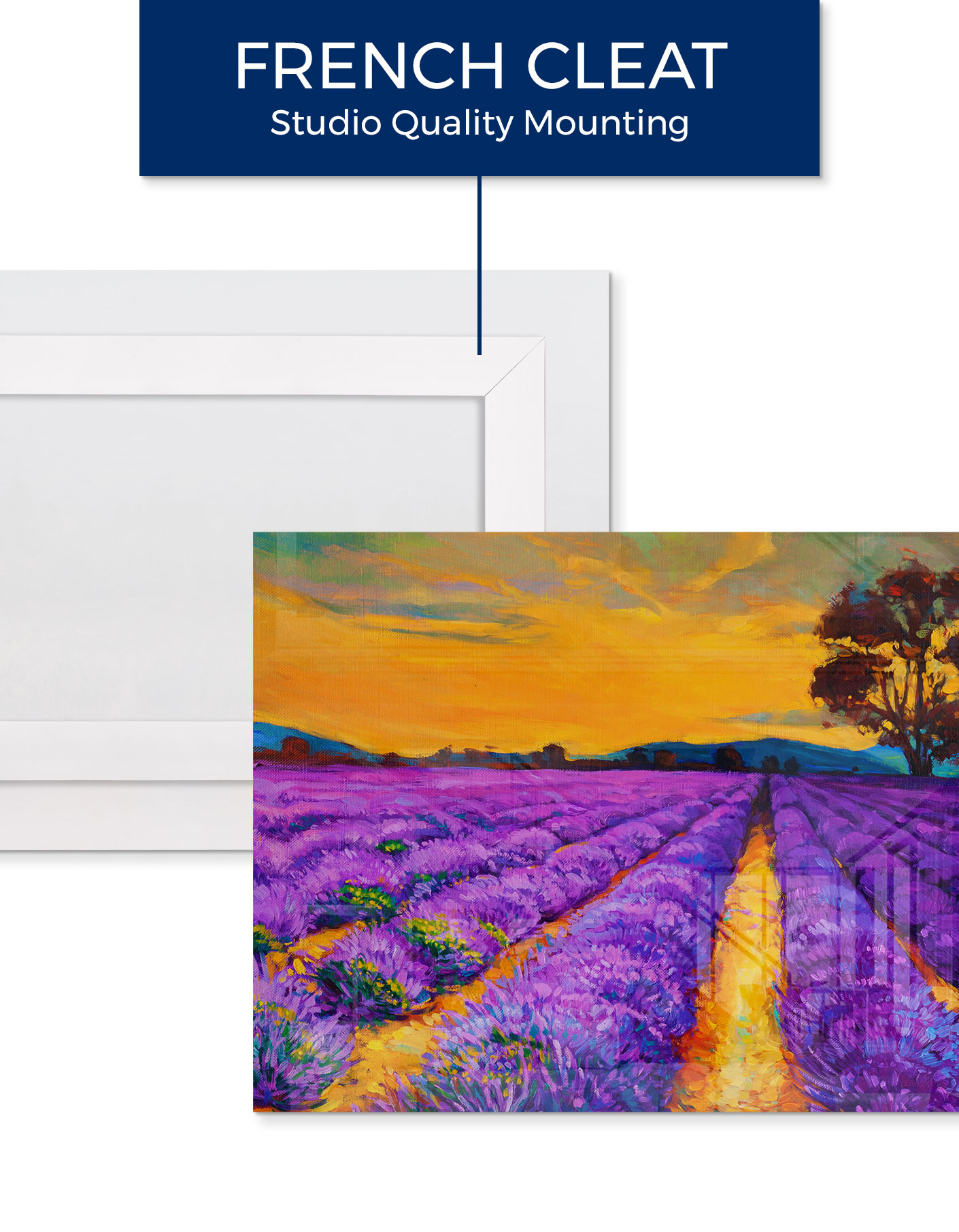 HD Acrylic Photo Prints 100 Stunning UHD Colors Order Now