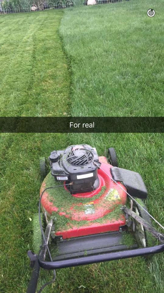 Hilariously dramatic struggle one guy has mowing his lawn goes viral!