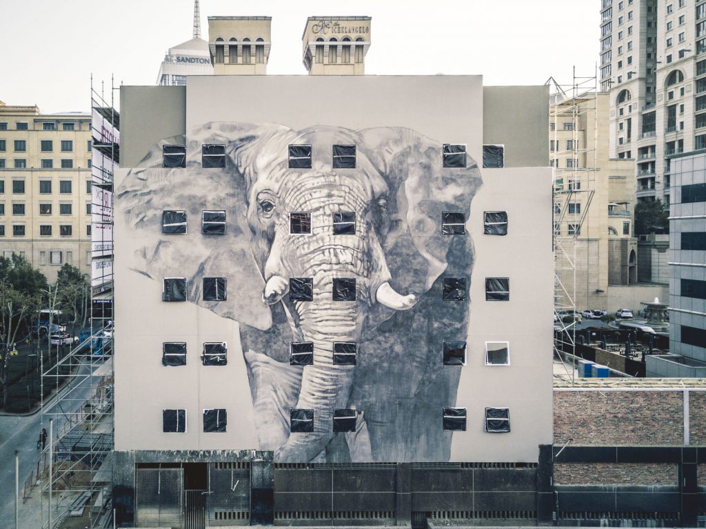 Watch South African artist paints beautiful mural on Johannesburg building