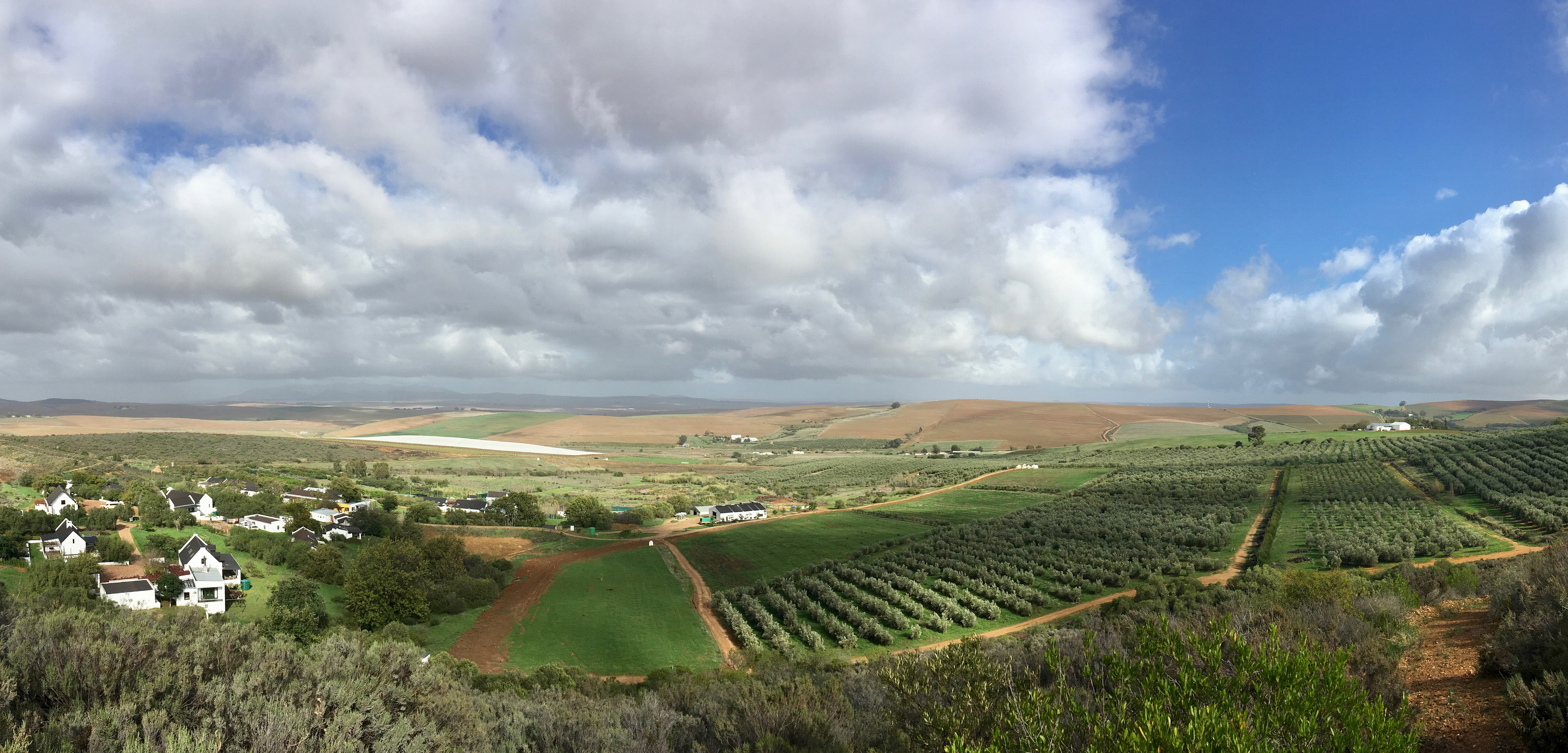 Goedgedacht a South African farmland success story