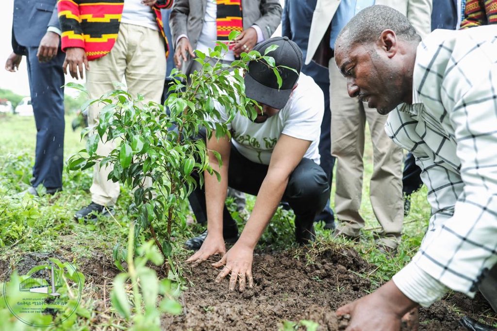 Ethiopia may have just broken the record for planting the most trees in
