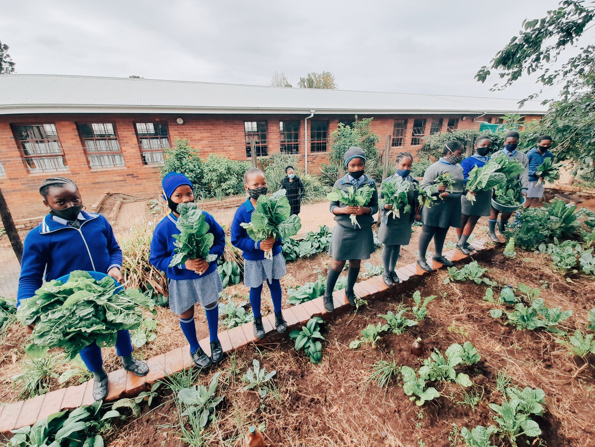 The best school gardens in SA have been found and these are the winners