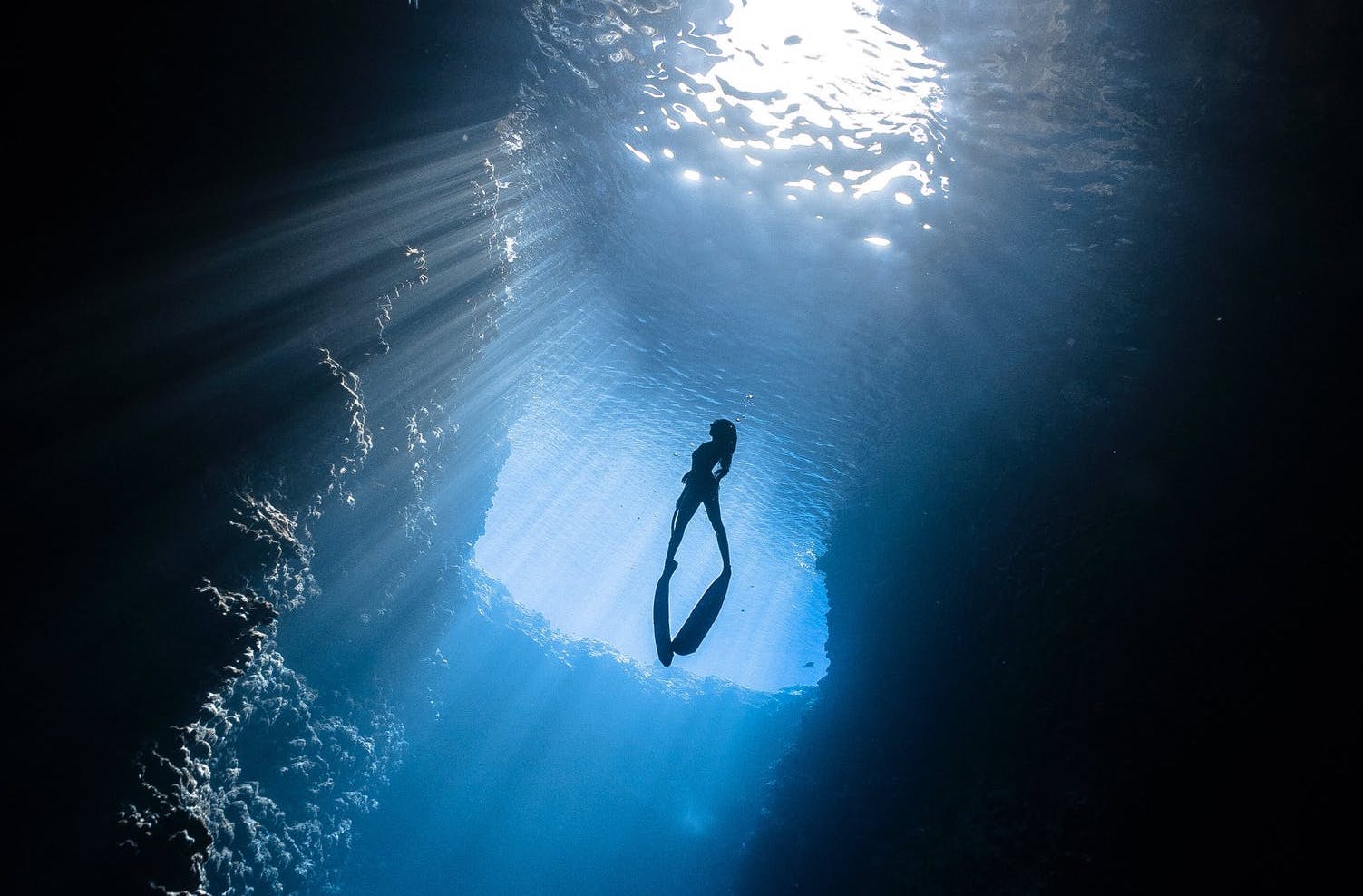 South African Sets New Women’s Deep Cave Diving Record! LaptrinhX / News