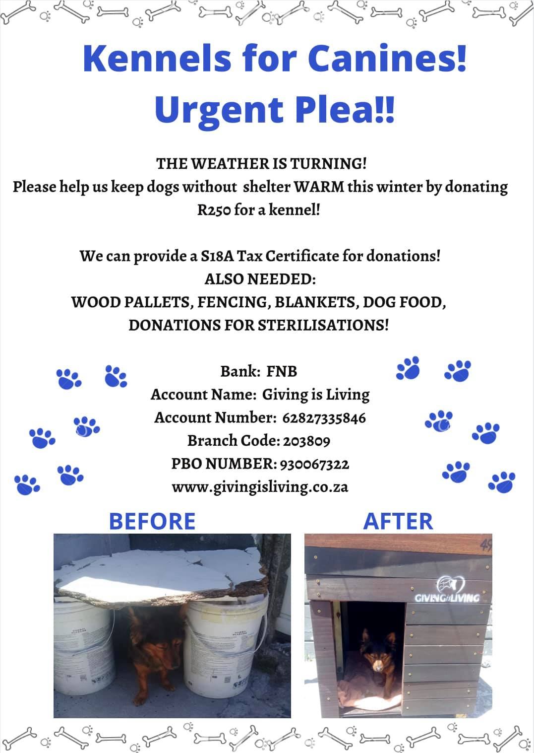 Charities Need DIY Dog Kennels That Save Lives During Cold SA Winters