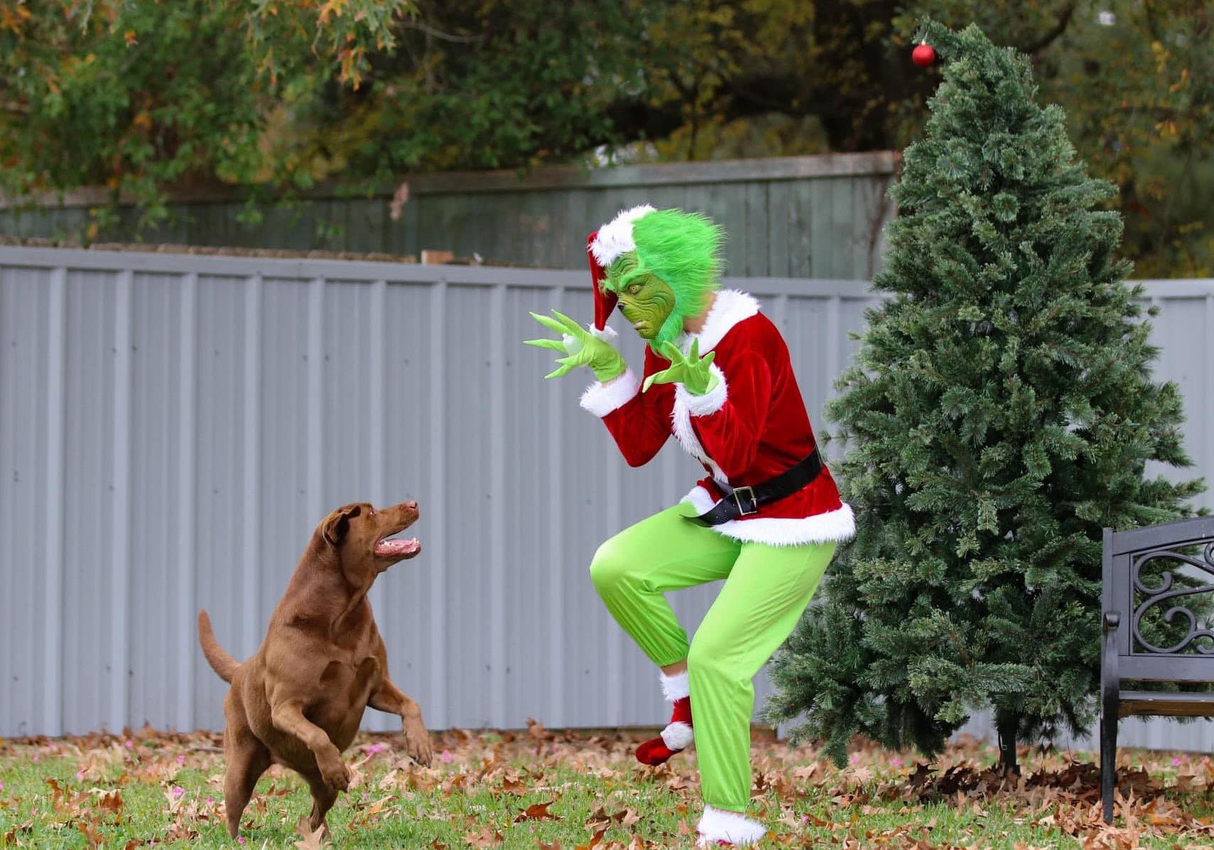 Grinch Dog