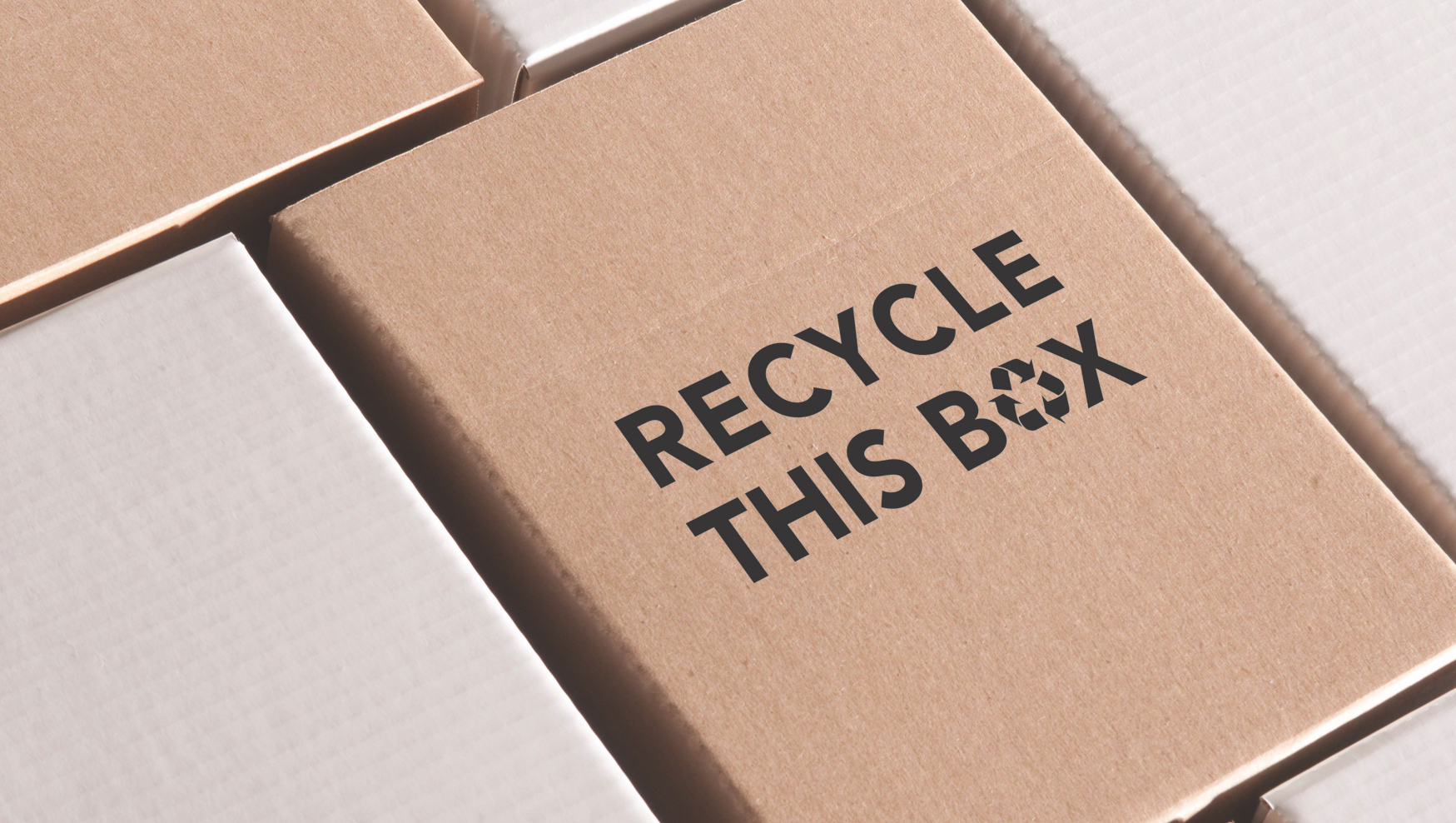 CleanUp and Recycle Week Recycling Takes Rubbish from Trash to Treasure