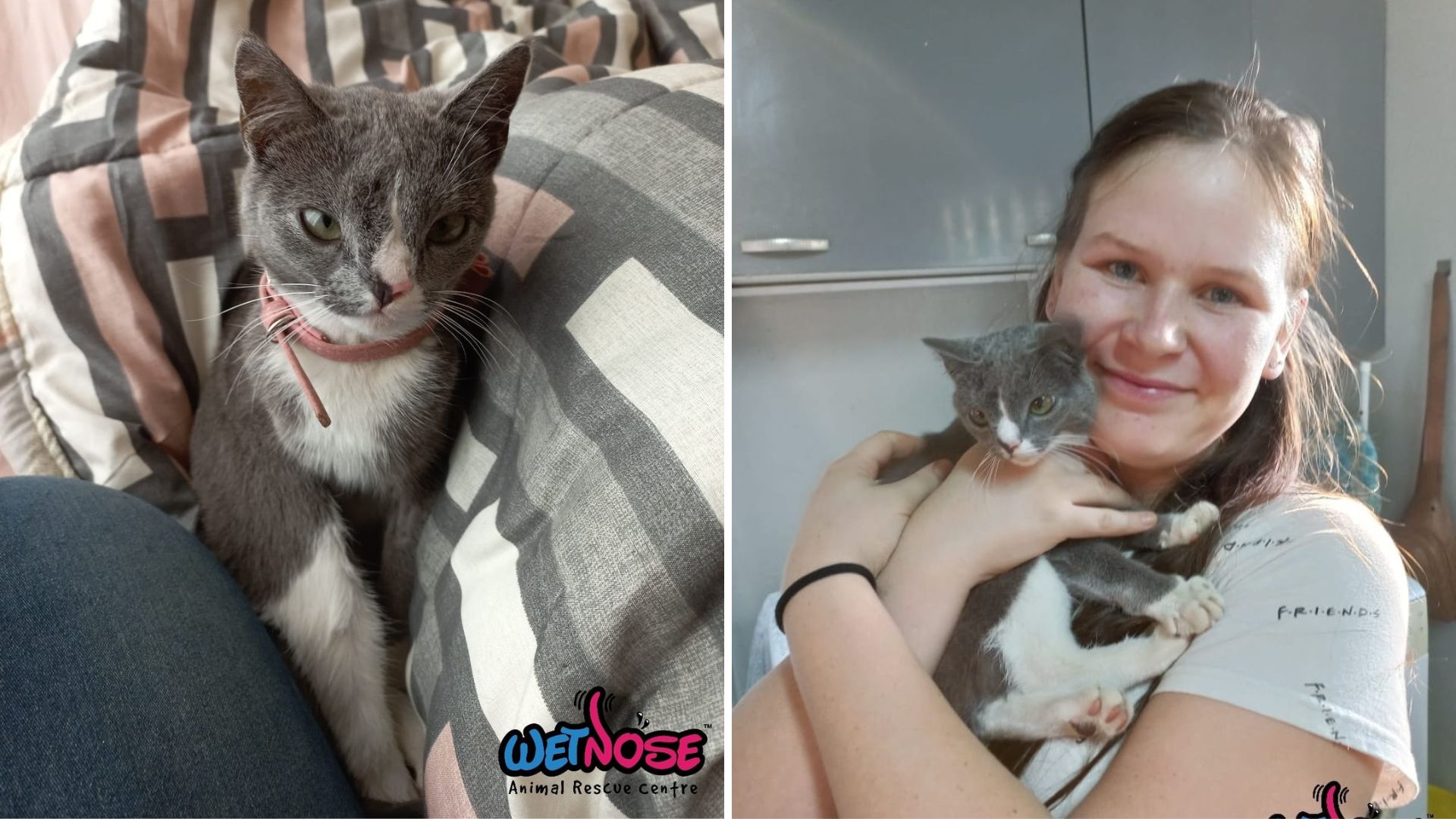 Special Needs Kitty Makes 162km Journey, Finally Reunited with Mom
