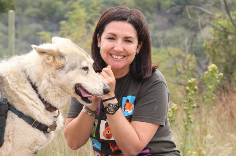 Seven Reasons It’s Important To Support Animal Charities