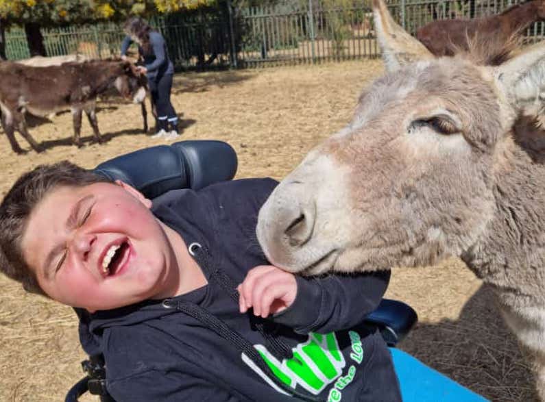 Donkey Therapy Kicks Off to Help Children Every Thursday