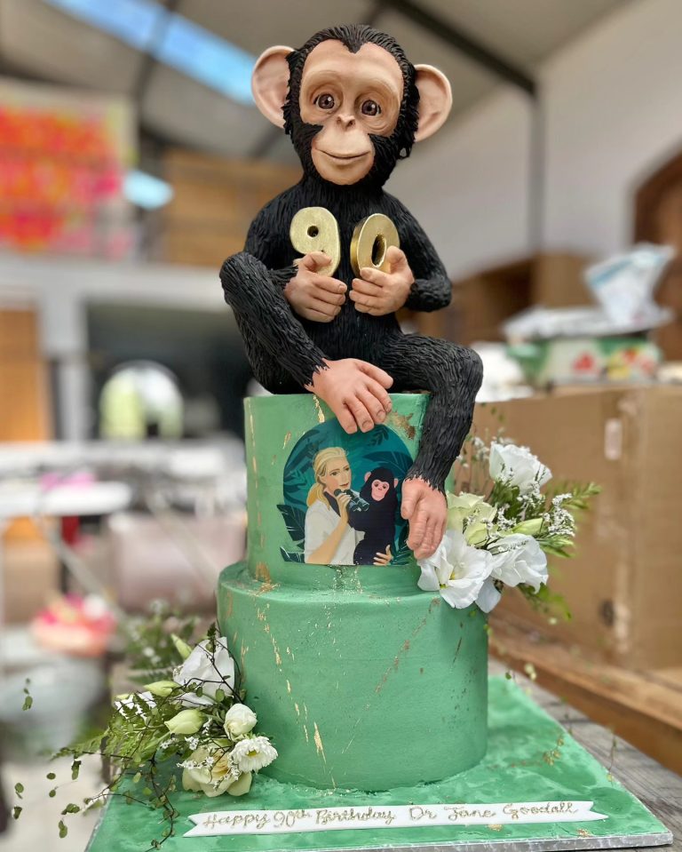 Cape Town Bakery Made Dr Jane Goodall's 90th Birthday Cake!