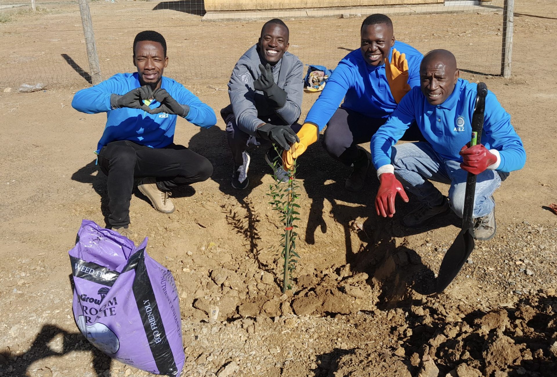 Carletonville Refreshed with Wild Olive and Fruit Trees