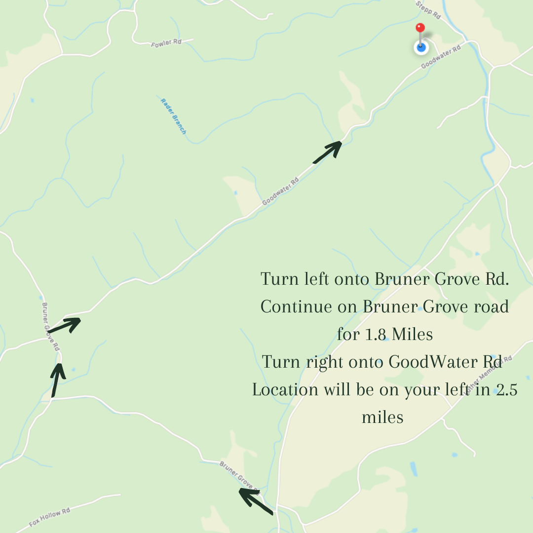 Goodwater Vineyards Local Tennessee Wine in Mosheim and Gatlinburg
