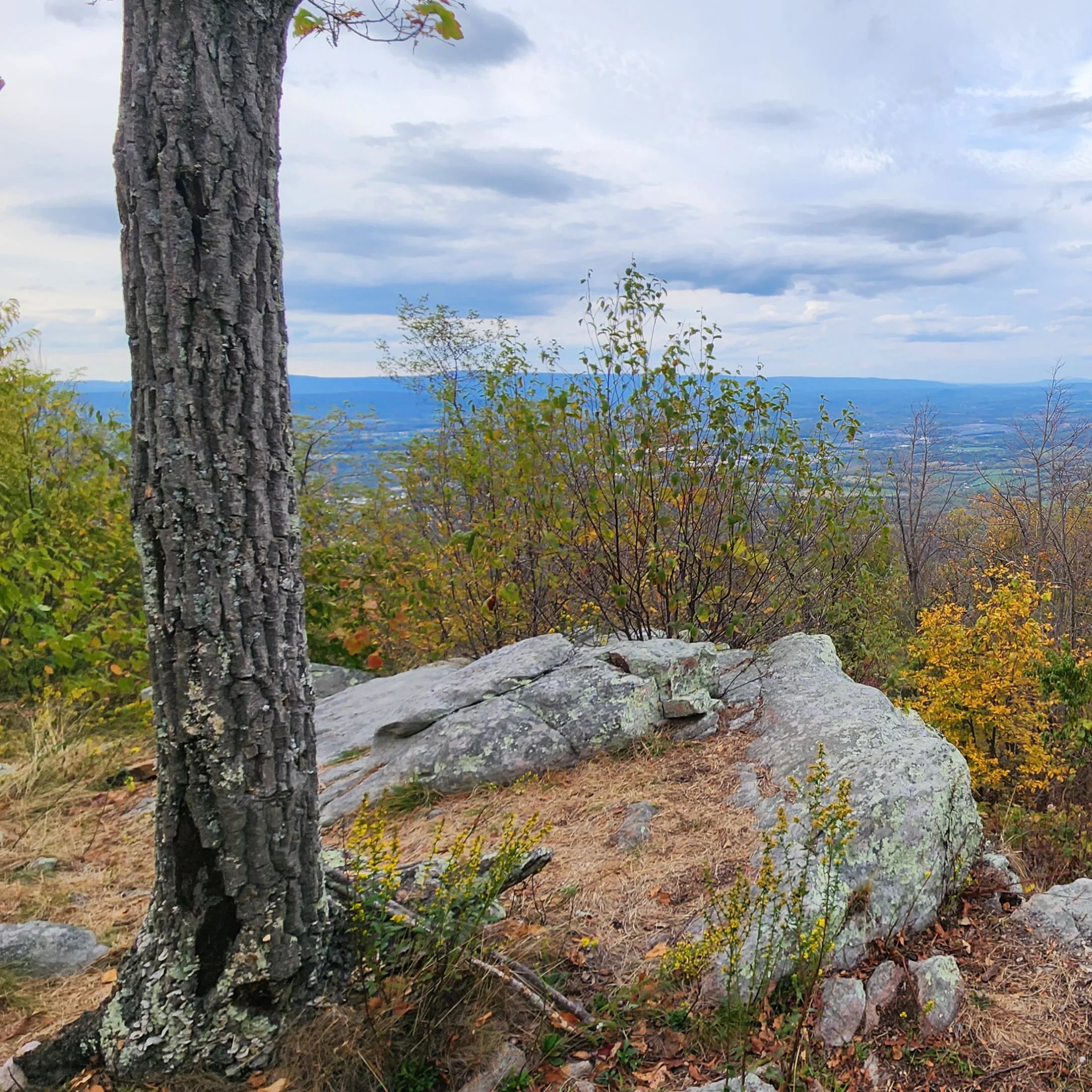 Meet the Massanutten Trail, a 71mile loop trail just over an hour from