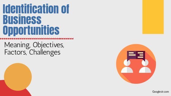 Identification of Business Opportunities Objectives, Challenges, Factors