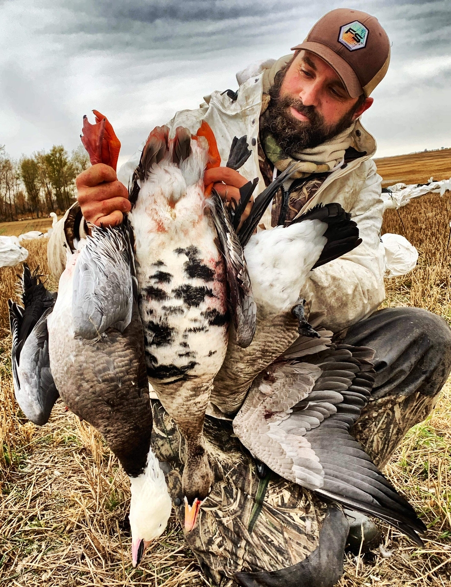 Snow Goose Hunting Guides Missouri Snow Goose Guides South Dakota