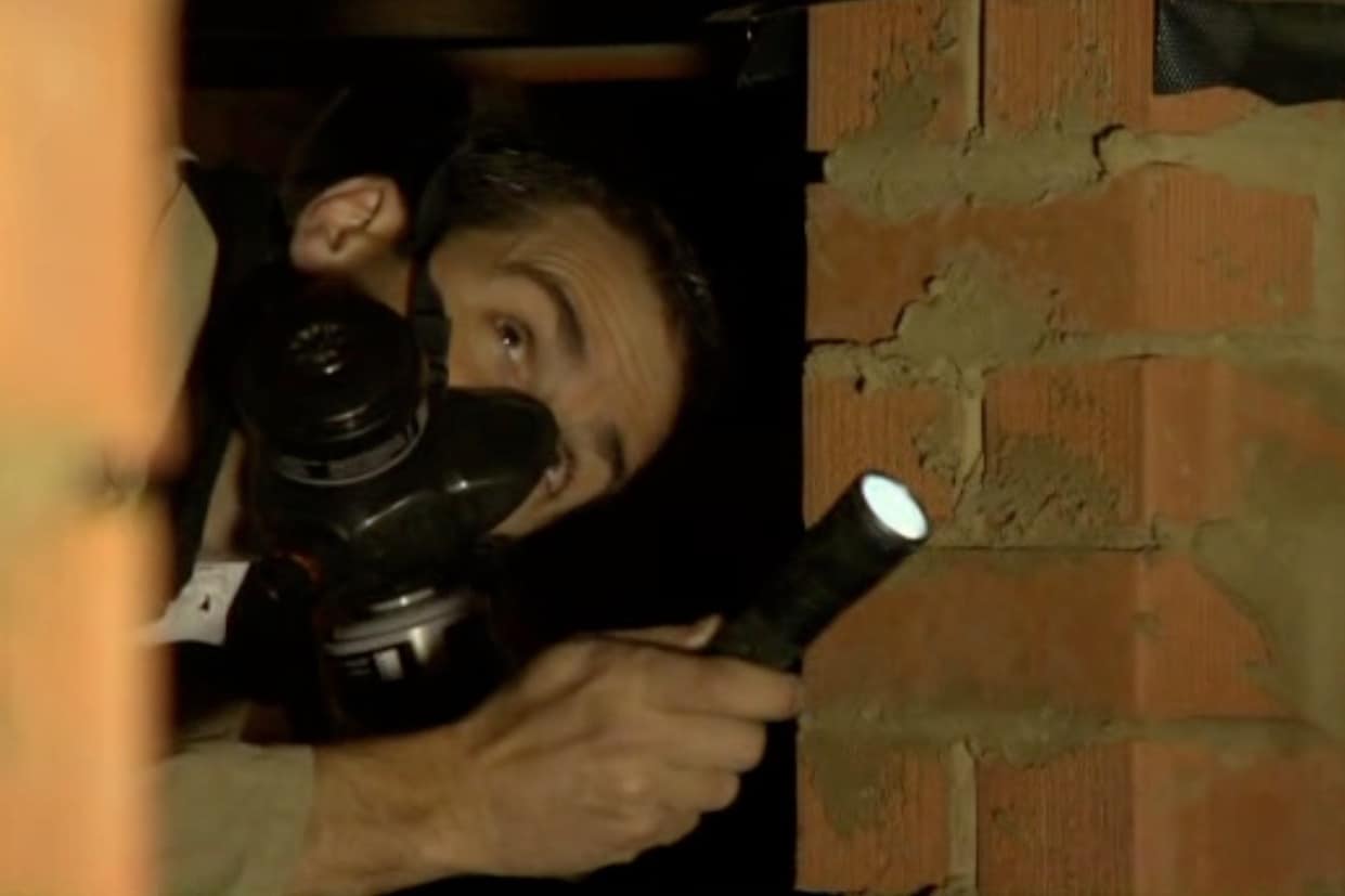 Pest Control and Termite Services Go Pest Bendigo