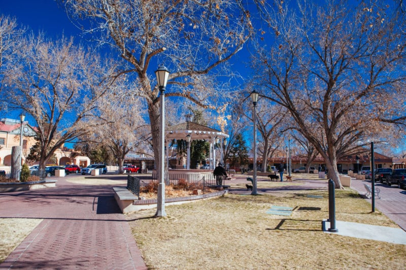 Dog Friendly Things To Do In Albuquerque GoPetFriendly