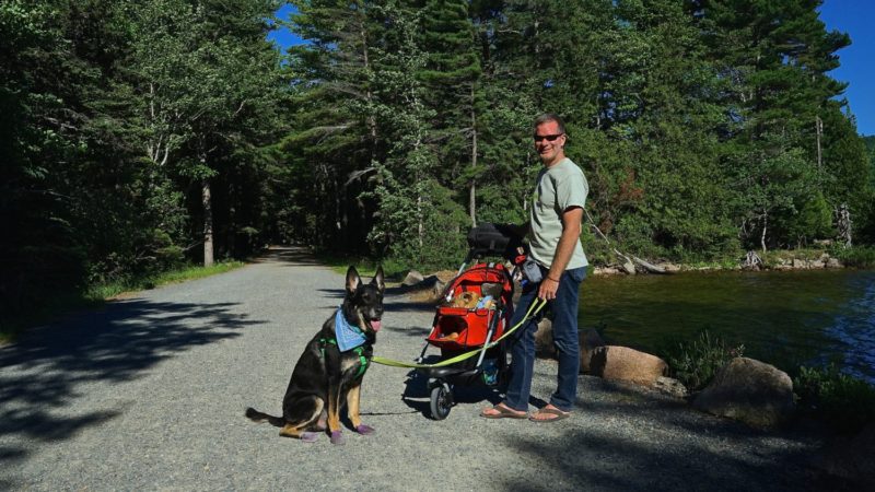 The Most Dog Friendly National Parks in America GoPetFriendly