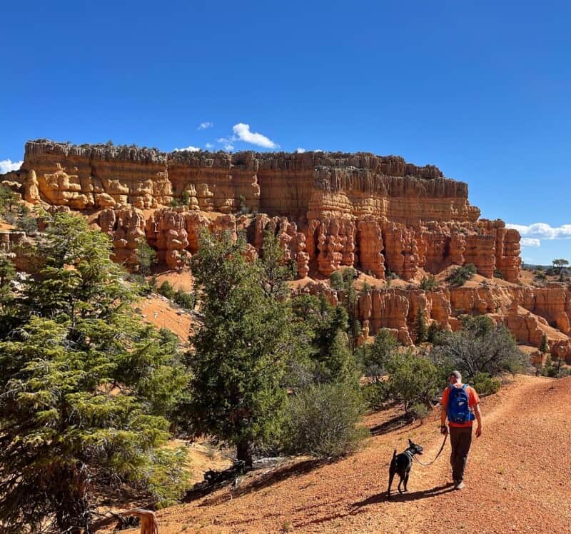 Visiting Bryce Canyon National Park With Pets GoPetFriendly