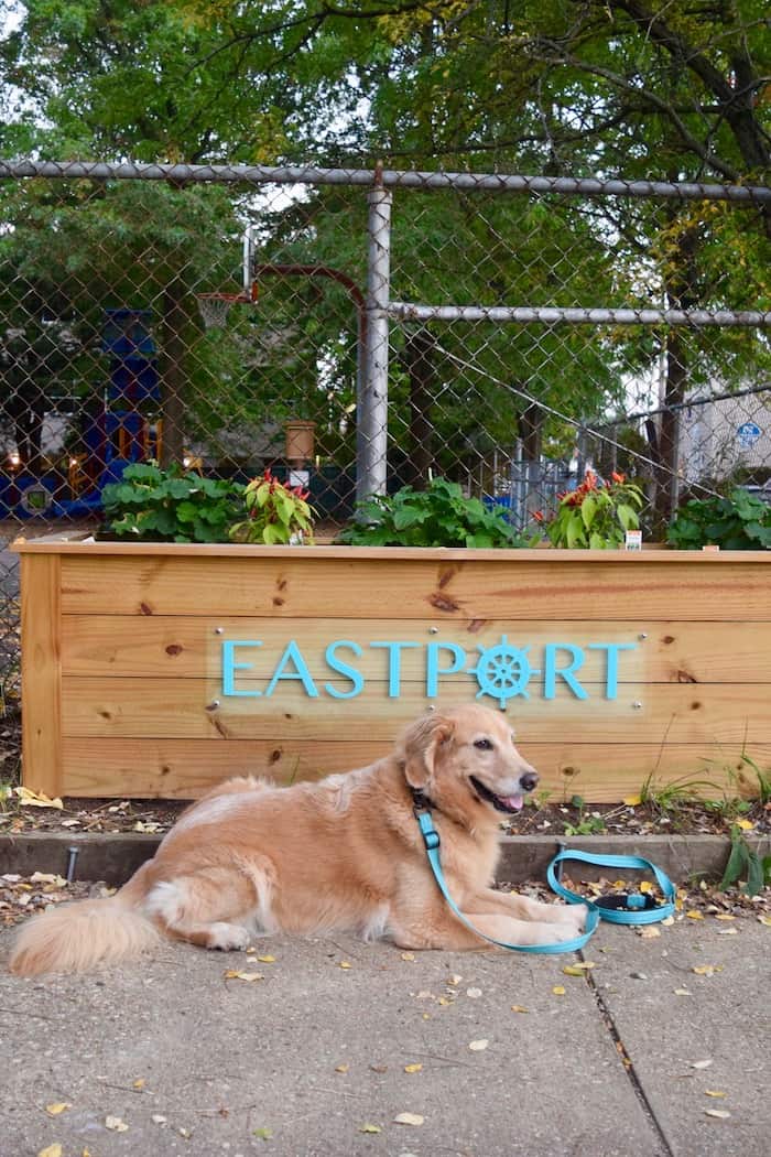 Annapolis's PetFriendly Eastport Neighborhood