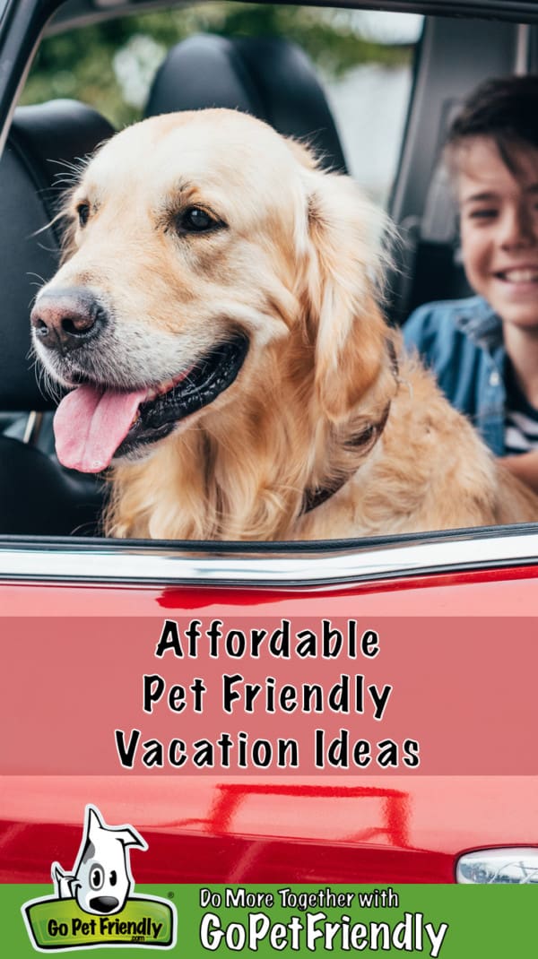 6 Affordable Vacation Ideas With Pets GoPetFriendly