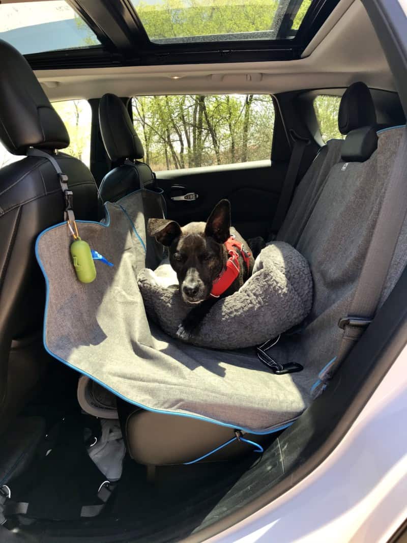 Where Can I Sleep In My Car Legally In Las Vegas My Dog