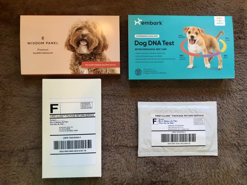 Dog DNA Test Review And Comparison Embark vs. Wisdom Panel