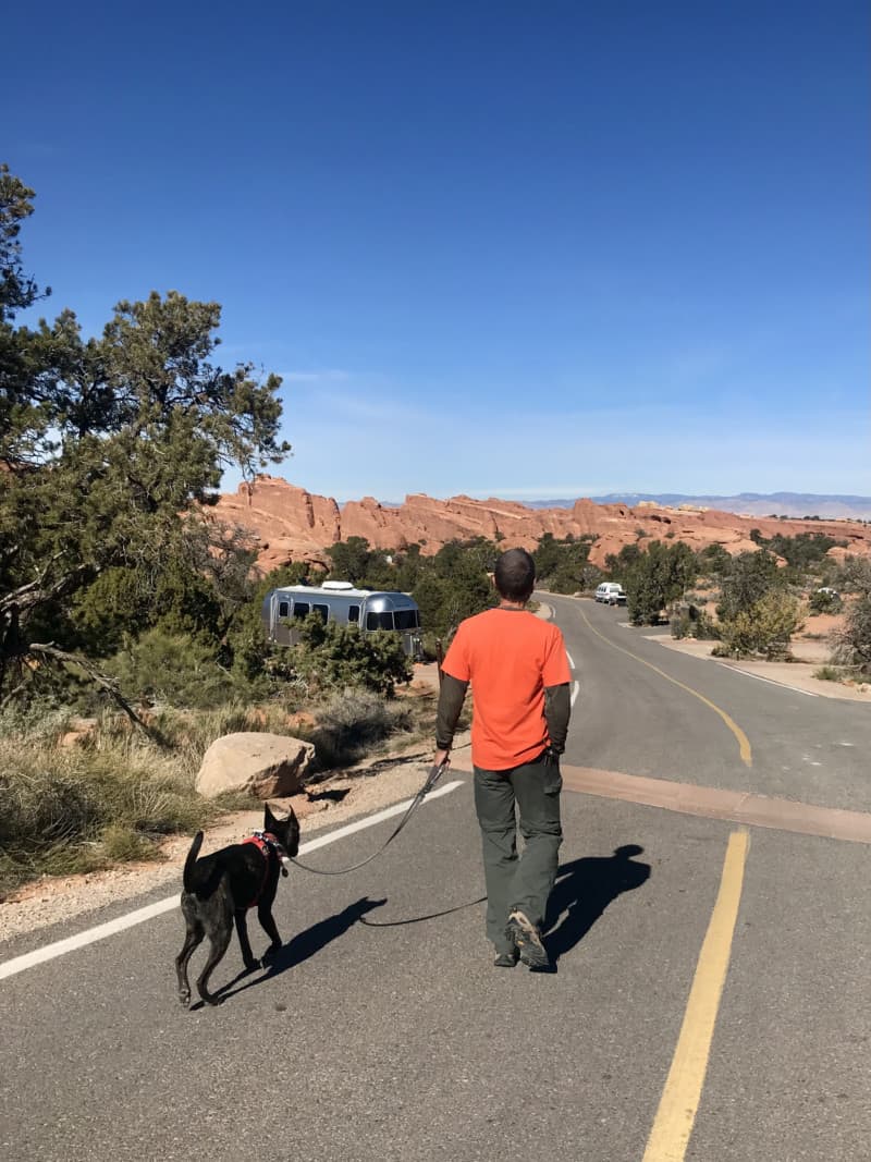 Visiting Arches National Park With Pets GoPetFriendly