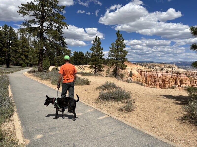 Visiting Bryce Canyon National Park With Pets GoPetFriendly