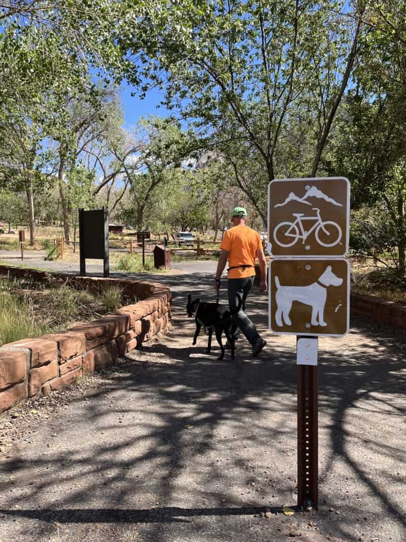 Can Dogs Hike In Zion National Park