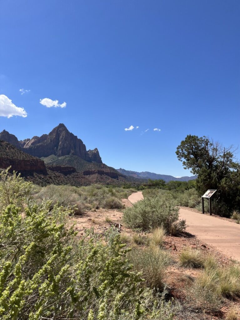 Visiting Zion National Park With Pets GoPetFriendly