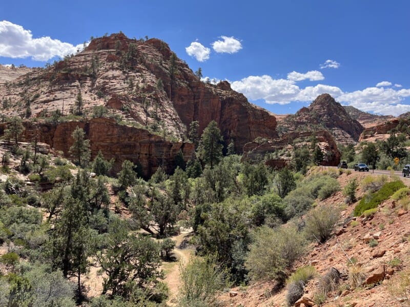 Visiting Zion National Park With Pets GoPetFriendly