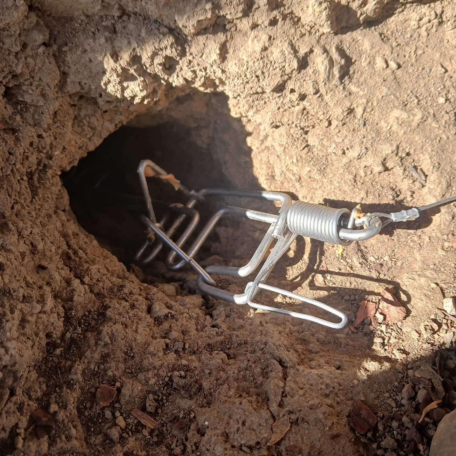 Gopher & Moles Traps on Sale Order at 4089912216