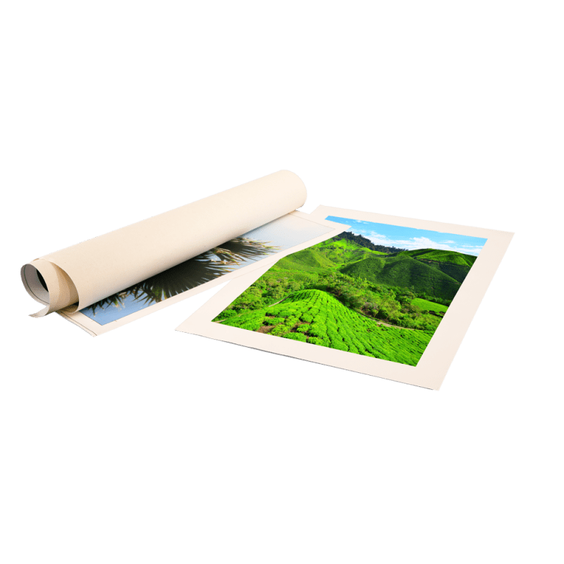 Large Canvas GoPrint PR