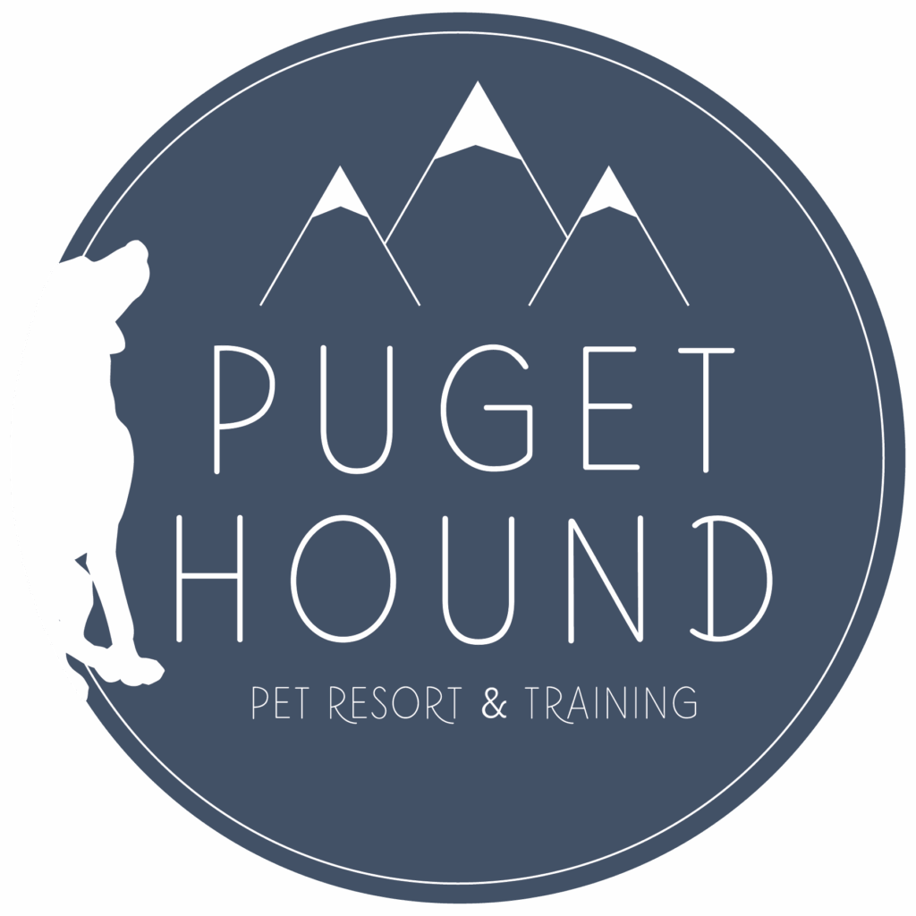 48 Tiny Bellingham Dog Daycare Image 4K uk.bleumoonproductions